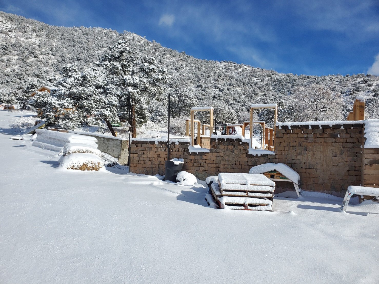 New Years Day Snowfall