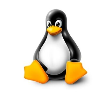 Tux the Linux Mascot Tuxify